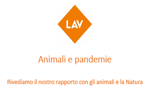 Animali e pandemie. Rivediamo il nostro rapporto con gli animali e la Natura