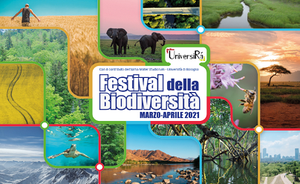 Festival della Biodiversità