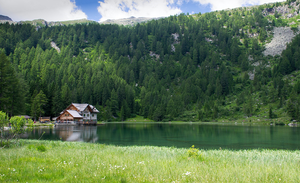 Presentato il Quarto Rapporto sullo stato del capitale naturale in Italia