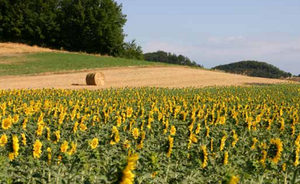 Annuario dei Dati Ambientali 2020