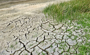 Crisi climatica ed emergenza ambientale: perché la sottovalutiamo? Cosa rischiamo?