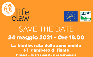 La biodiversità delle zone umide e il gambero di fiume