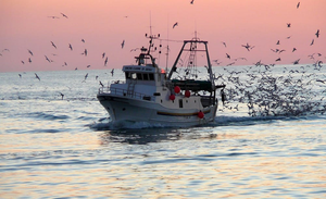 "Il mare che non ti aspetti", "Che succede laggiù?"