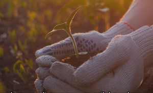 Ecco cosa significa "perdere terreno": Nuovo video del Progetto Soil4life