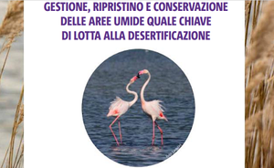 Gestione, ripristino e conservazione delle aree umide quale chiave di lotta alla desertificazione