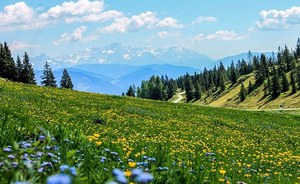 Nature-based Solutions-NbS...dal Cielo ...dalla Terra …dal Mare