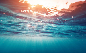 Impiego di biopolimeri in acqua marina