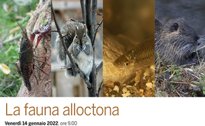 La fauna alloctona