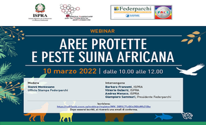 Aree protette e peste suina africana