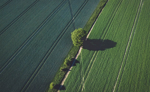 Il suolo: una risorsa da tutelare. Convegno conclusivo del Progetto Soil4Life