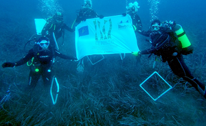 Posidonia oceanica: come stanno i 30 mila mq di trapianti?  Presentati i risultati del progetto LIFE SEPOSSO