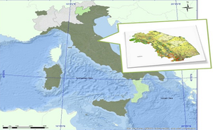 Carta della Natura – È disponibile la carta della natura della regione Marche