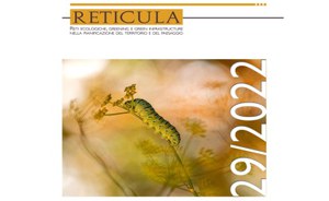 Pubblicazione RETICULA n. 29/2022