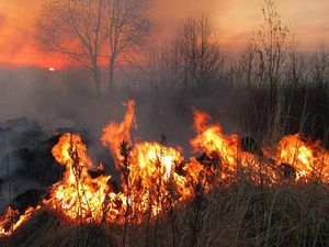 Incendi in Italia: nel 2021 bruciati il triplo degli ettari del 2020. La Regione più bruciata è stata la Sicilia, in Sardegna l'incendio più vasto