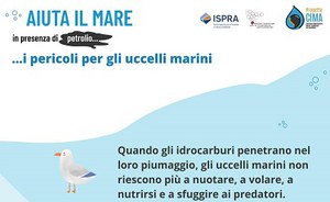 Aiuta il mare in presenza di petrolio: progetto CIMA