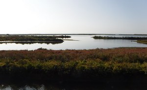 Documentario del Progetto LIFE Lagoon Refresh