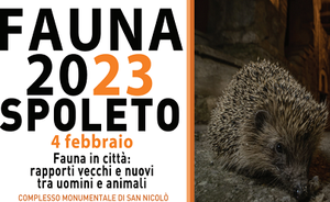 Fauna in città: rapporti vecchi e nuovi tra uomini e animali