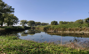 Il Drizzagno e l’ansa morta di Spinaceto lungo il Tevere, caratteri geologici ed ecosistemi fluviali a confronto