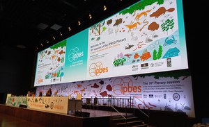 Decima sessione della plenaria della Piattaforma intergovernativa di politica scientifica sulla biodiversità e i servizi ecosistemici (IPBES-10)