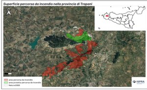 Ecosistemi forestali ed incendi: aggiornamento 1 settembre 2023