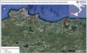 Ecosistemi forestali ed incendi: aggiornamento 25 settembre 2023