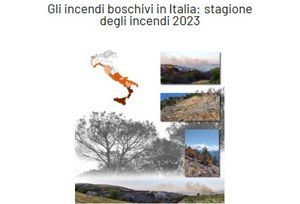 Ecosistemi forestali ed incendi: Stagione Incendi 2023