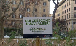 21 novembre - Giornata mondiale dell'albero