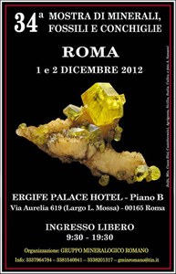 34esima mostra di minerali fossili e conchiglie