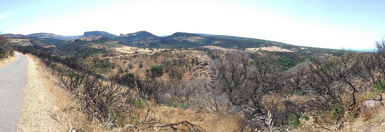 Effetti degli incendi del 2021 nella zona di Montiferru (Sardegna) visti nel 2022