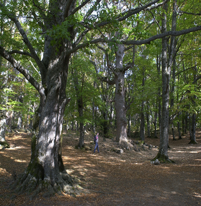 Biodiversità