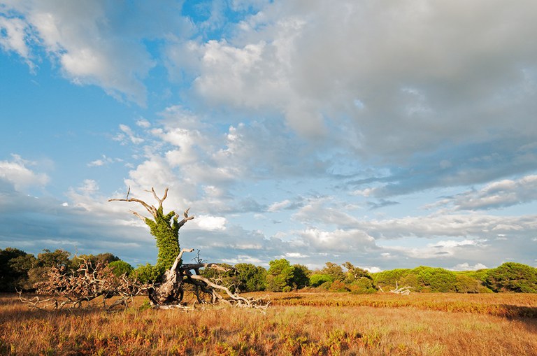 Gli ambienti della Tenuta. Foto di A. Calabrese