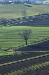 Aree agricole ad alto valore naturale: dall'individuazione alla gestione