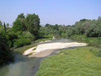 Monitoraggio degli ambienti ripariali