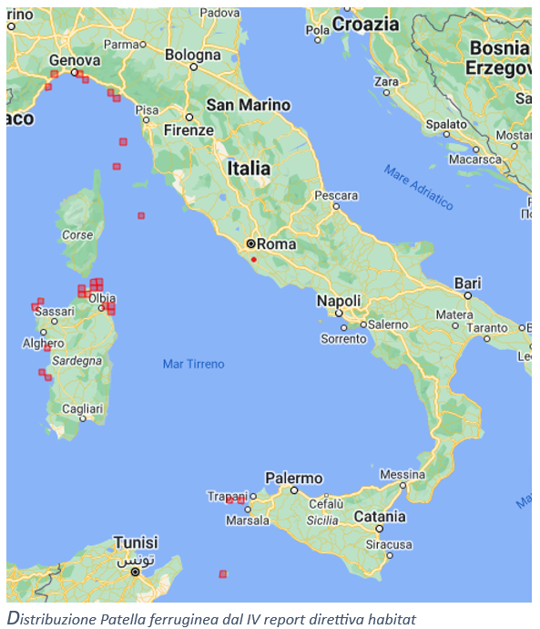 Distribuzione Patella ferruginea dal IV report direttiva habitat