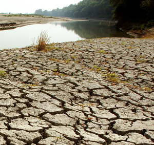 Cambiamenti climatici