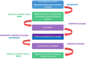 Flowchart dell'iter di ottenimento del marchio Ecolabel