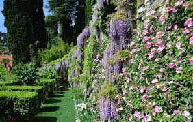 Giardini di Villa della Pergola