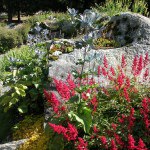 Giardino Botanico Alpino Castel Savoia