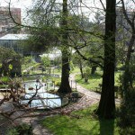 Orto botanico dell'Università di Ferrara