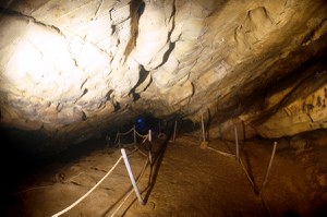 Grotta del Genovese