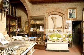 Museo Archeologico e Paleontologico di Farneta