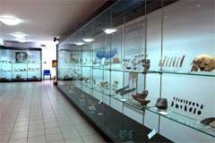 Museo Archeologico Nazionale di Crotone