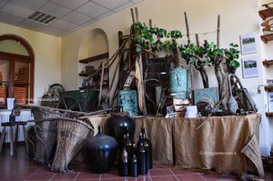 Museo Bramaterra