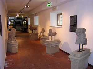 Museo Civico Archeologico “Pietro e Turiddo Lotti”