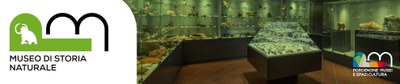 Museo Civico di Storia Naturale "Silvia Zenari"