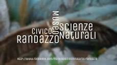 Museo Civico di Scienze Naturali