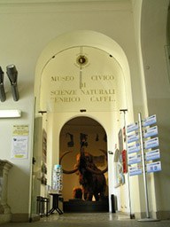 Museo Civico di Scienze Naturali 'E. Caffi'