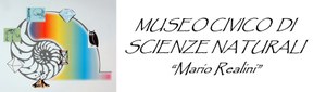 Museo Civico di Scienze Naturali 'Mario Realini'