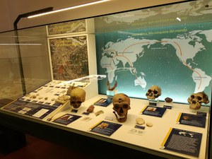 Museo Civico di Storia e Scienze Naturali