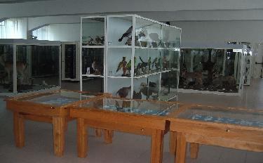 Museo civico di storia naturale